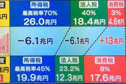 【悲報】経済専門家「消費税減税は意味がない。110円のおにぎりが108円になるだけ」