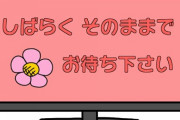 【放送事故】テレビに映った放送事故や心霊系で一番印象に残ってる奴