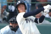 甲子園見ててプロでも絶対活躍するってわかった選手いる？