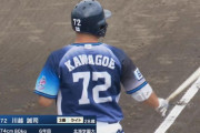 西武川越が大暴れ！子猫圧勝！