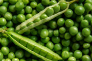三大なぜか嫌われてる食べ物「グリンピース」「レーズン」