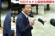 【自民党・新藤義孝氏】川口クルド人「地域で怒りが頂点に」新藤義孝氏、国会で訴え　性犯罪再犯「問題は仮放免」