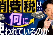 【悲報】自民・茂木敏充幹事長「野党は『消費税を下げろ』と言うが財源はどうするのか。民主党政権の子ども手当の二の舞いになる」←これ?
