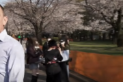 海外「日本の花見がコロナで台無しだ」マスクなしで日本の現状を報道する外国人リポーター