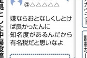 【悲報】木村花の母、『捏造画像』を信じて提訴 → 880万円をカウンター請求されてしまうｗｗｗｗｗ