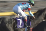 【競馬】11年ぶりに天皇陛下が観覧された『天皇賞・秋』、レコード記録で勝利したイクイノックスが陛下にお辞儀をする奇跡の一枚が激写され話題に！