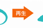 切断された腕や足が再生されない理由