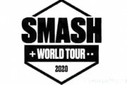【驚愕】賞金総額250000ドルのスマブラワールドツアーが開催！！