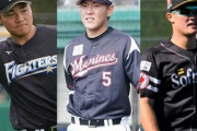 12球団、期待の若手スラッガー候補！
