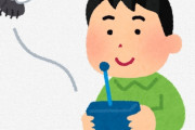 【閲覧注意】海外「恐ろしいな…そのうち人間にも実装されるのではと考えると…」日本が虫をリモートコントロールするシステムを開発（海外の反応）