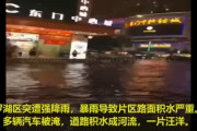 中国の最先端都市深セン、水没ｗｗ