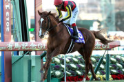 史上最強の有馬記念2勝馬
