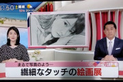【乃木坂46】高山一実 鉛筆画家さんの展示会が凄い！【ニュースevery日本海】