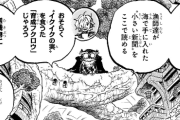 【画像】ワンピース『イクイクの実』、設定ミスだった