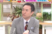 【テレビ】玉川徹「総理は民主党の時は～とか言ってるけど、そもそも民主党なんてもう無いんだからそんな政党とっくの昔に」