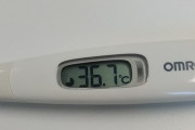 【悲報】14連勤後ワイ、体温測った結果wwwwwwwww