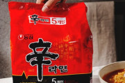 韓国人「韓国の農心、海外での売上が10億ドルを記録…世界5大ラーメンメーカーに登板」