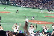 【侍vs台湾】台湾流のプロ野球チア応援が楽しそうすぎるｗｗｗｗｗｗ あまりに良すぎて日本人も台湾を応援
