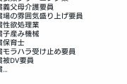 【画像】女さん「無償調理人、無償皿洗い、無償性処理業、女性の皆さんこれを見ても男に”就職”しますか？」