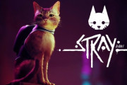 「猫の理解度高すぎ」　迷い猫になって街を探索するゲーム「Stray」が話題　開発スタッフ数は猫＞人間