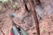 【日本】これがリアル狩猟。猪と近接遭遇×2で猟犬がやられてしまうハンティング動画。