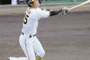 阪神・江越があすから1軍昇格「役割を果たせれば」練習試合では先逆方向へ先頭打者アーチ