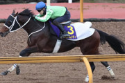 【競馬予想】[2]第23回チャンピオンズカップ(GI) /2022