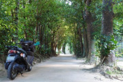 昨日はフクギ並木道から　ツーリング中、ツーリング後の報告スレ