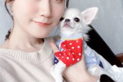 【朗報】声優・小倉唯さん、飼い犬に対して一人称ママで接するｗｗｗｗｗｗ