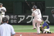 山川穂高(西)2016 打率.259 14本 出塁率.335 長打率.590 ops.925