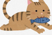 【(ΦωΦ)】厚労省アニサキス注意喚起ツイートが話題に　ナゾの猫を起用し2.9万リツイート突破！！