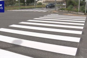 【朗報】日本国「税金不足で横断歩道もう維持できません！横断歩道のペンキを半分にして費用削減だ！」