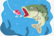 【悲報】バス釣り、もう誰もやってない