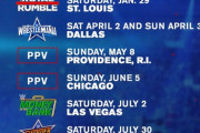 WWE来年のPPVは9つ