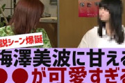 【乃木坂４６】梅澤美波に甘える●●が可愛すぎる【反応集】