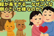 【少子化】人間だけ『交尾』までの工程が長すぎる…なぜこんな面倒くさい仕様なのか？