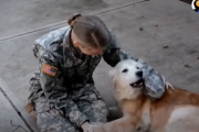嬉しさ全開！！ 軍のお仕事からペットの元へ帰ってきた飼い主さん達！ 海外の反応