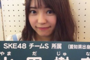 【速報】ＳＫＥ４８の元メンバー、詐欺の疑いで逮捕
