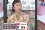 【動画あり】　中国人「日本国籍を取ったけど、私は日本人ではありません。中国人です」