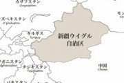 ウイグル美女さん、中国政府に「妊娠しなくなる薬」と「記憶がなくなる薬」を飲まされる