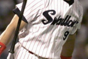 お前らが野球見始めた頃にいたヤクルトの強打者ｗｗｗｗｗｗｗｗｗ