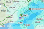 【悲報】神奈川県民、大雪で逝く