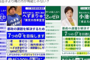 【朗報】へずまりゅうの公約、小池のパロディ