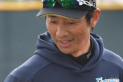 日本ハム城石コーチ、練習中に倒れ救急搬送される