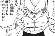 【ドラゴンボール】ベジータの名言「汚ねぇ花火だ」「動けないサイヤ人に用はない」しかないｗｗｗ