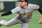 村上 頌樹（神）32回 防0.28 2勝1敗 31奪三振 被打率.096 K/BB 15.50 whip0.38←こいつｗｗｗｗ