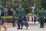 【動画】警視庁機動隊観閲式、警備犬部隊の一番後ろで終始ワクワクしる犬が話題にｗ