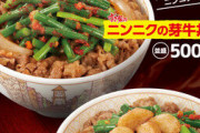 【画像】俺たちのすき家が今年もやりやがった！「ニンニクの芽牛丼」発売