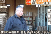 【悲報】米屋｢緊急報告 来年はコメの価格がさらに上がる｡業者間で奪い合いになってる｣