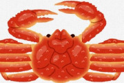 【食べて応援！】わずか39匹で“幻”　「庄内北前ガニ」もっと知って!食べて!　認定基準を緩和